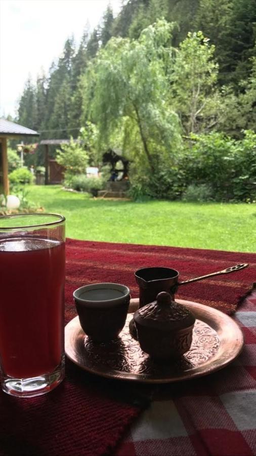 فيلا Sastanci-Grahovaca Rozhajë المظهر الخارجي الصورة